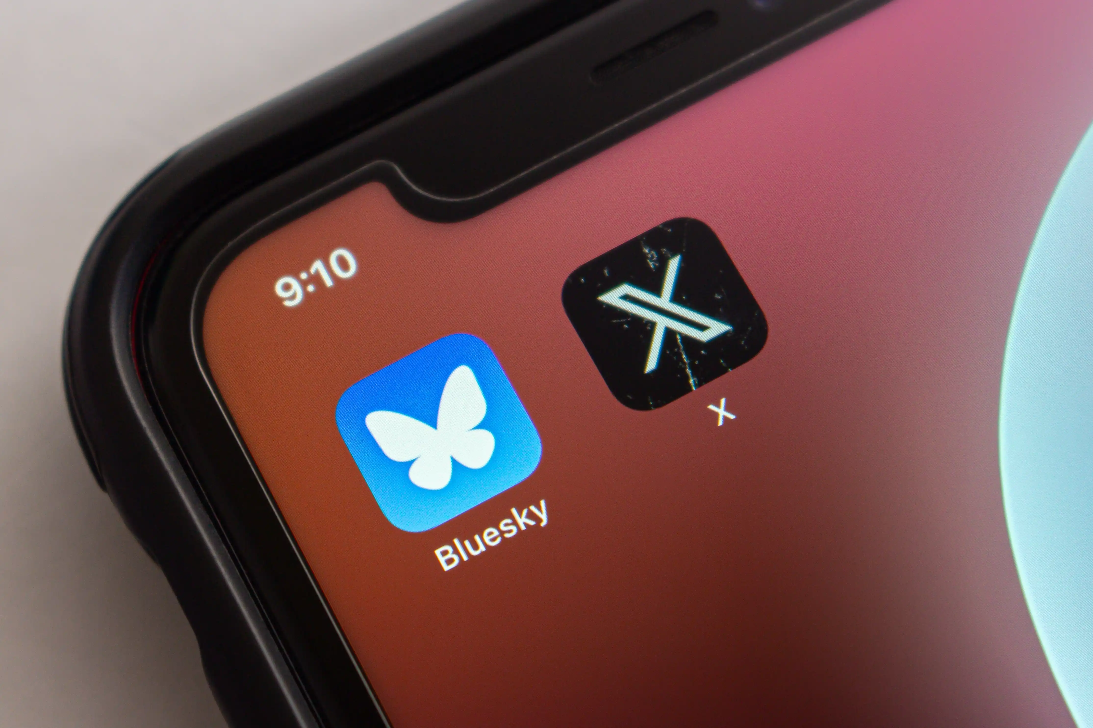 Bluesky и Twitter/X: базовый обзор